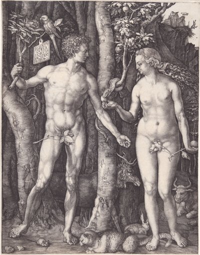  autorstwa Albrecht Dürer