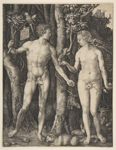 Adam i Ewa autorstwa Albrecht Dürer