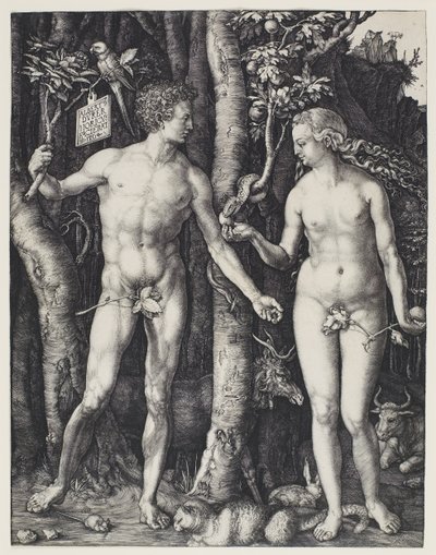 Adam i Ewa autorstwa Albrecht Dürer