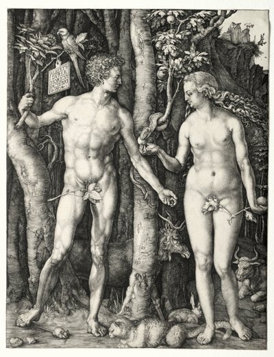 Adam i Ewa, 1504. autorstwa Albrecht Dürer