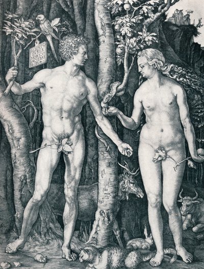 Adam i Ewa, 1504 1906 autorstwa Albrecht Dürer
