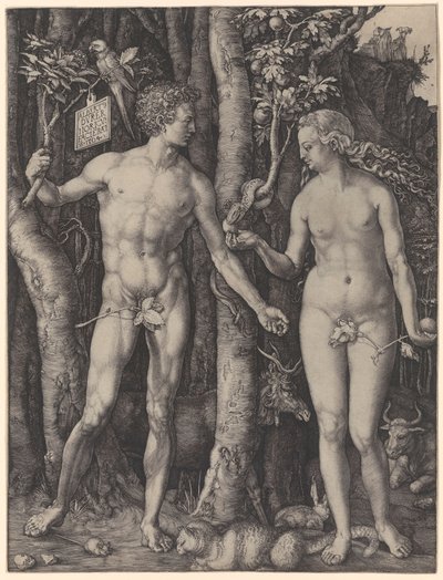 Adam i Ewa autorstwa Albrecht Dürer