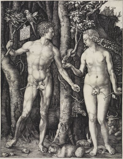  autorstwa Albrecht Dürer