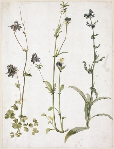  autorstwa Albrecht Dürer
