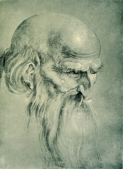 Głowa Apostoła autorstwa Albrecht Dürer