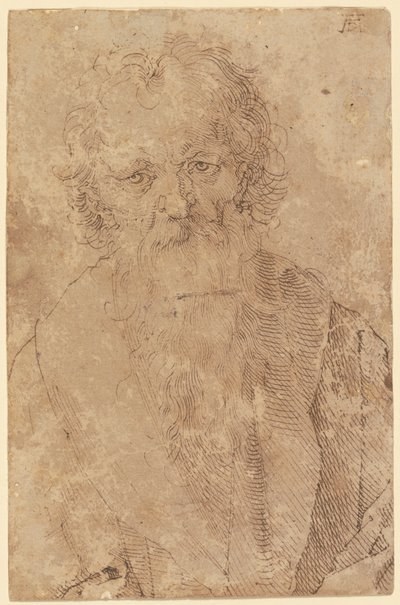 Brodaty stary mężczyzna autorstwa Albrecht Dürer