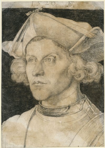 Portret młodej osoby z odkrytą klatką piersiową autorstwa Albrecht Dürer