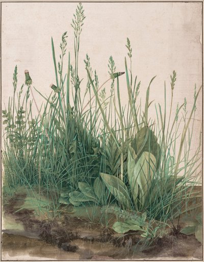 Duży kawałek trawnika autorstwa Albrecht Dürer