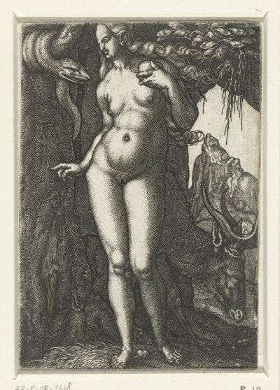 Eva autorstwa Albrecht Dürer
