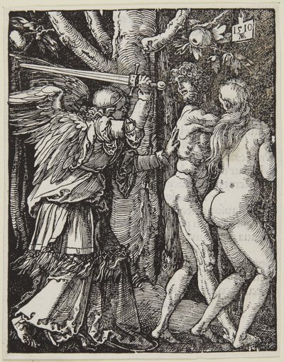 Wygnanie z raju autorstwa Albrecht Dürer
