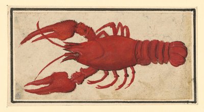  autorstwa Albrecht Dürer