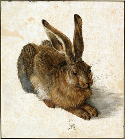 Niemiecki: Feldhase Young Hare autorstwa Albrecht Dürer