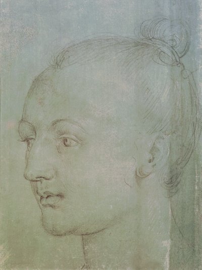Głowa Młodej Kobiety (czarna kreda podkreślona białą kredą na zielonym papierze) autorstwa Albrecht Dürer