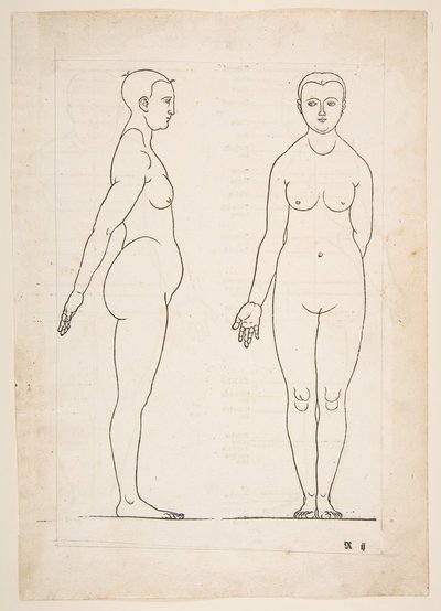 Ilustracja z Czterech ksiąg proporcji ludzkich Dürera, Norymberga, 1528.n.d. autorstwa Albrecht Dürer