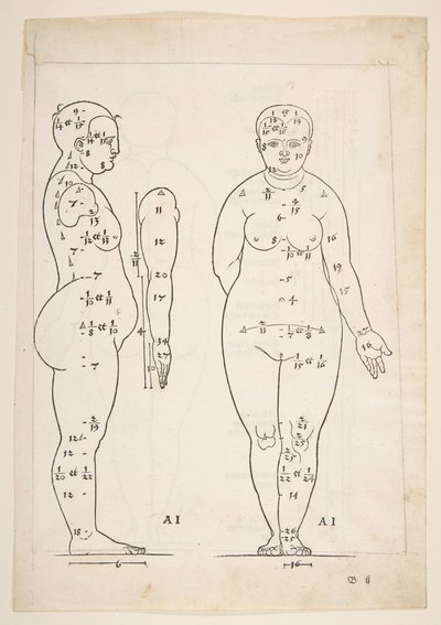 Ilustracja z Czterech ksiąg ludzkich proporcji Dürera, Norymberga, 1528.n.d. autorstwa Albrecht Dürer