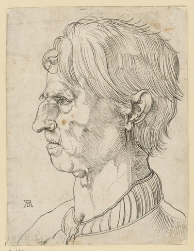 Głowa starszego brodatego mężczyzny, z profilu w lewo autorstwa Albrecht Dürer