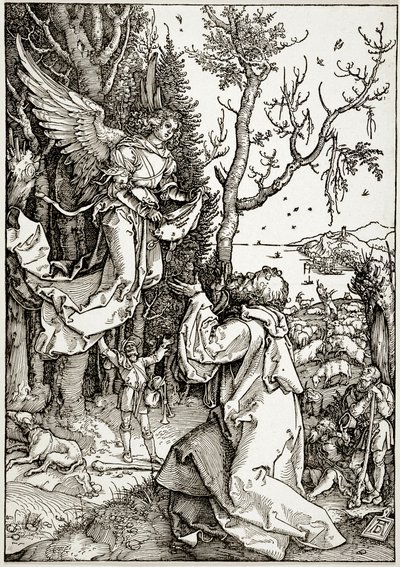 Życie Marii Panny: Joachim i anioł (Bartsch 78) autorstwa Albrecht Dürer