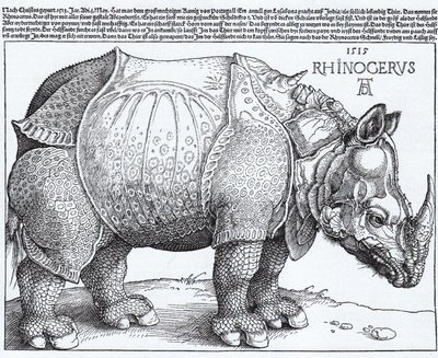 Łac:  Rhinocerus Nosorożec autorstwa Albrecht Dürer