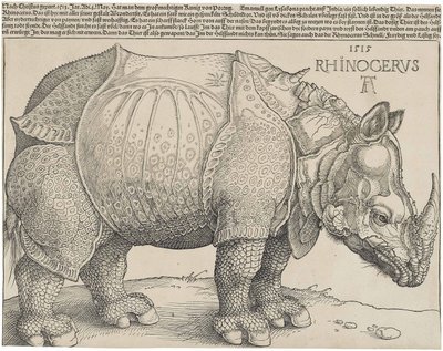 Łac:  Rhinocerus Nosorożec autorstwa Albrecht Dürer