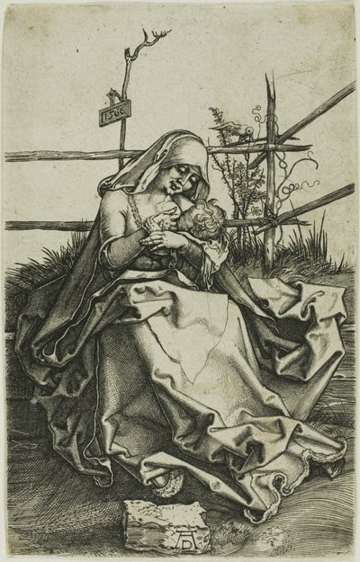 Madonna na trawiastym brzegu autorstwa Albrecht Dürer