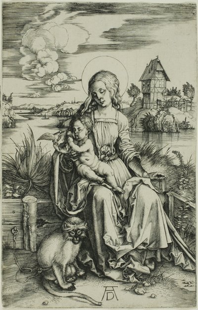 Madonna z Małpą autorstwa Albrecht Dürer