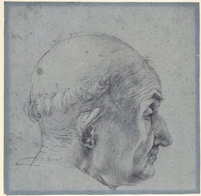 Męska głowa z profilu autorstwa Albrecht Dürer