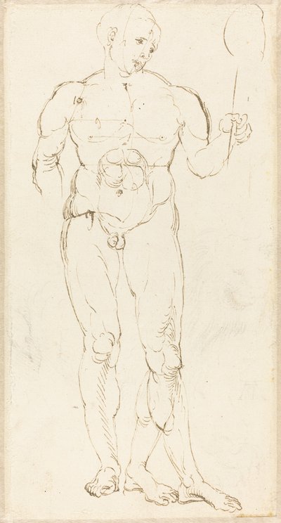 Akt męski trzymający lustro [rekto] autorstwa Albrecht Dürer