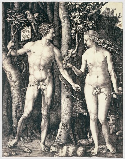 Grzech pierworodny autorstwa Albrecht Dürer