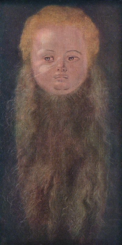Portret chłopca z długą brodą, 1527, 1939 autorstwa Albrecht Dürer