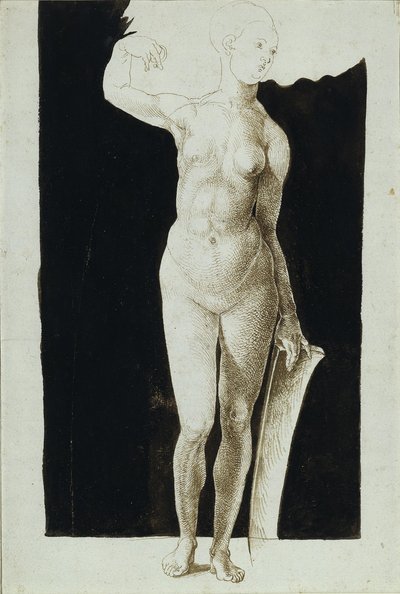 Studium proporcjonalne aktu kobiecego z tarczą, 1500 autorstwa Albrecht Dürer