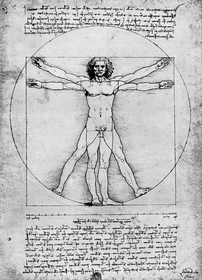 Proporcje postaci ludzkiej, c1492, 1936 autorstwa Albrecht Dürer