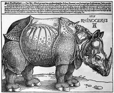 Nosorożec, grafika podarowana Maksymilianowi I przez króla Lizbony, 1515, 1936 autorstwa Albrecht Dürer