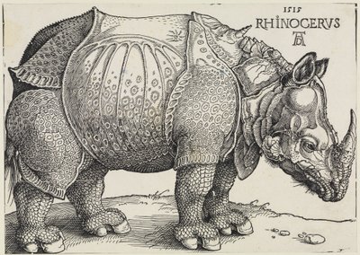 Rhinocerus (Nosorożec) autorstwa Albrecht Dürer