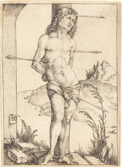 Św. Sebastian przywiązany do kolumny autorstwa Albrecht Dürer