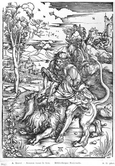 Samson zabija lwa, ok. 1496-98 autorstwa Albrecht Dürer