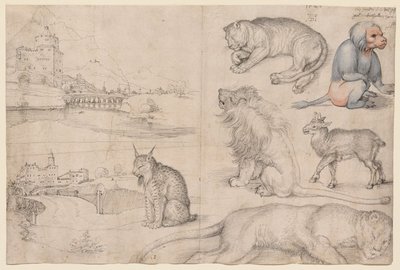  autorstwa Albrecht Dürer