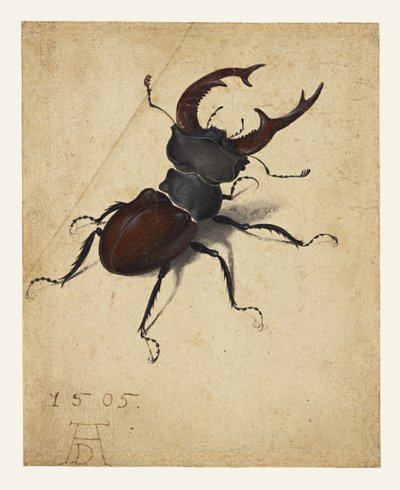  autorstwa Albrecht Dürer