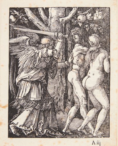  autorstwa Albrecht Dürer
