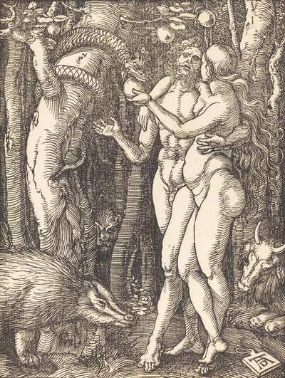 Upadek człowieka, prawdopodobnie ok. 15091510. autorstwa Albrecht Dürer