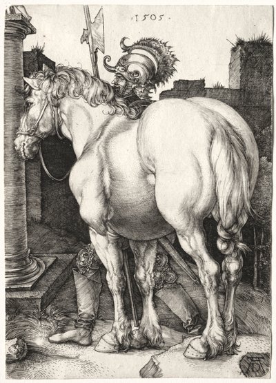 Duży koń autorstwa Albrecht Dürer