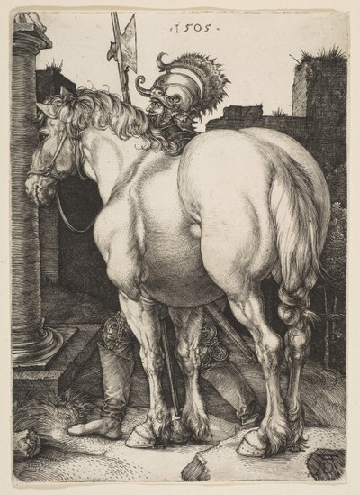 Duży koń, 1505. autorstwa Albrecht Dürer