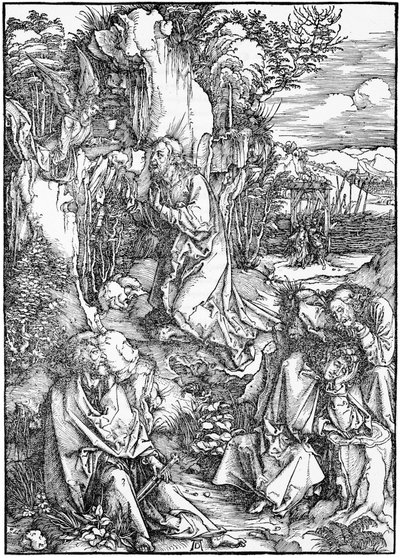 Wielka Pasja: 2. Chrystus na Górze Oliwnej autorstwa Albrecht Dürer