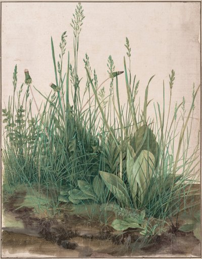Duży kawałek murawy, 1503 autorstwa Albrecht Dürer