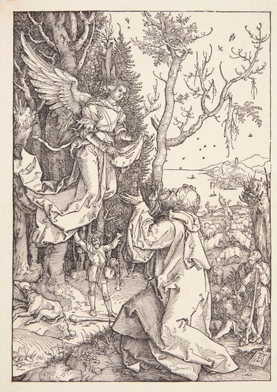 polish autorstwa Albrecht Dürer