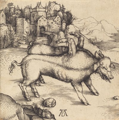 Potworna świnia Landsera, prawdopodobnie 1496. autorstwa Albrecht Dürer