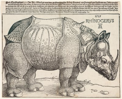Nosorożec autorstwa Albrecht Dürer