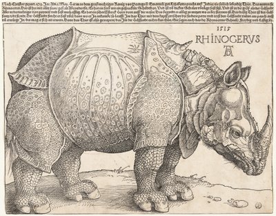  autorstwa Albrecht Dürer
