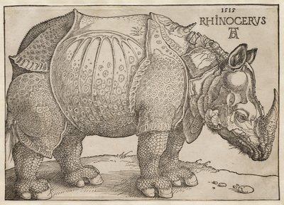  autorstwa Albrecht Dürer