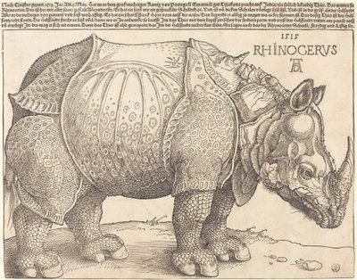 Nosorożec, 1515. autorstwa Albrecht Dürer