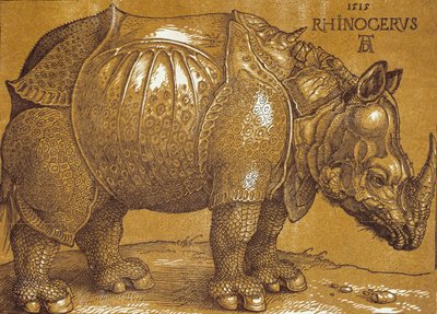 Nosorożec, 1515. autorstwa Albrecht Dürer